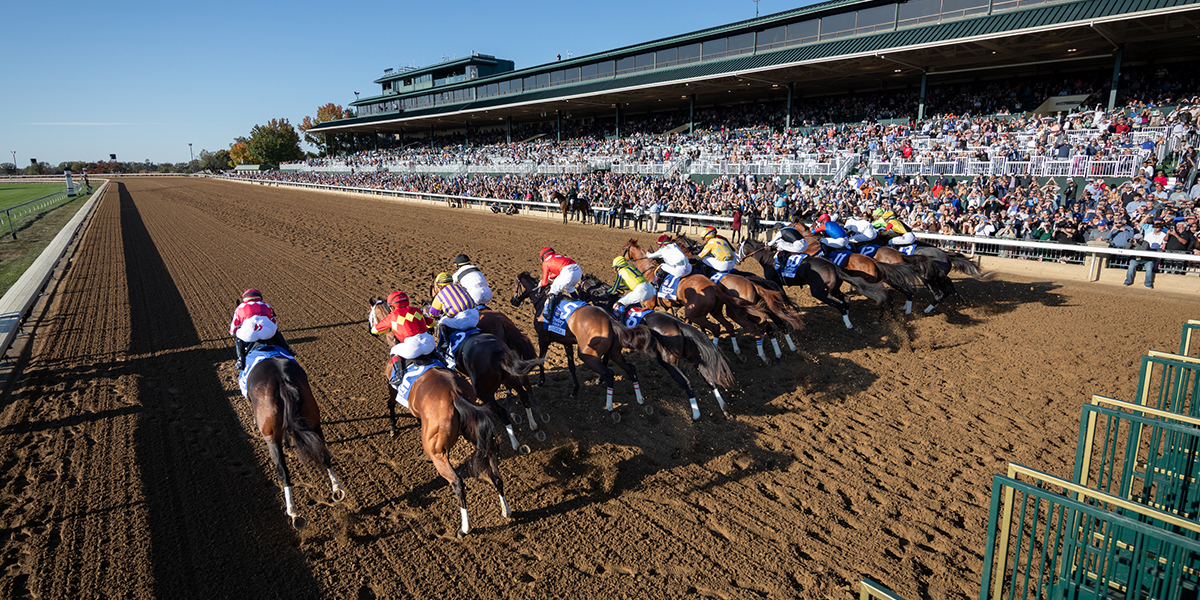 Unsere Aktionen für den Breeders Cup im Santa Anita Park